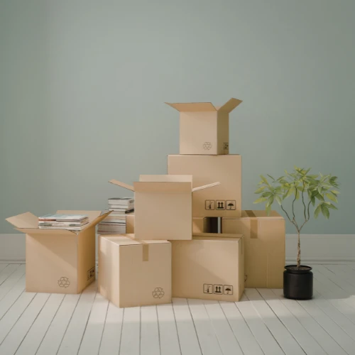 Nettoyage Déménagement en Bourgogne & Rhône-Alpes